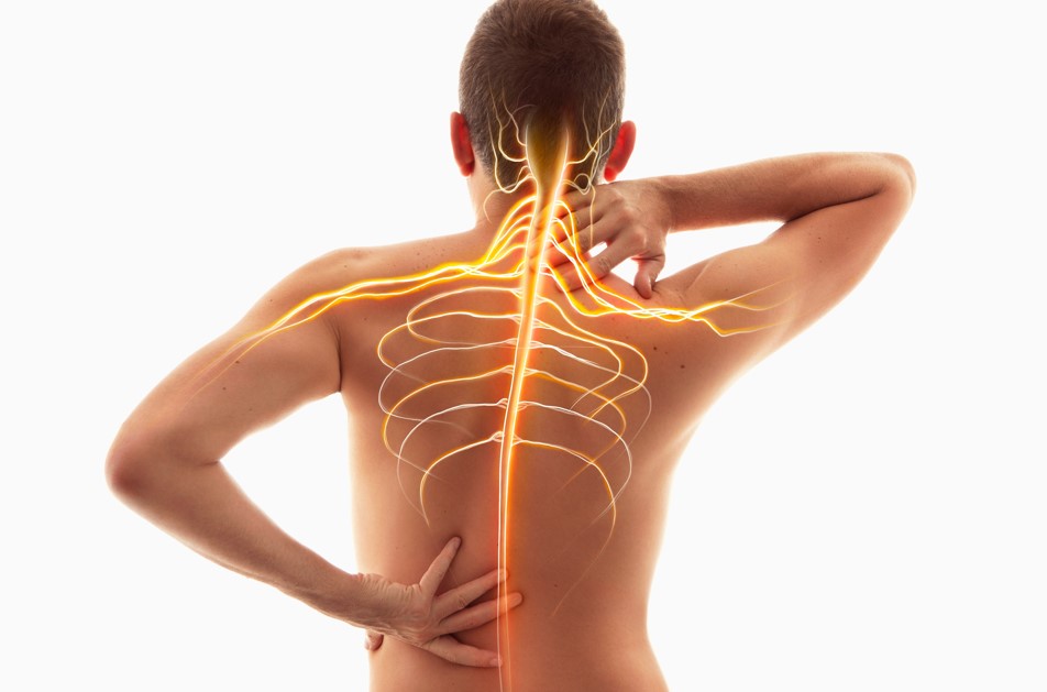 Beyond Back Pain: How Owsley Chiropractic in Bowling Green, KY, Offers Holistic Wellness 