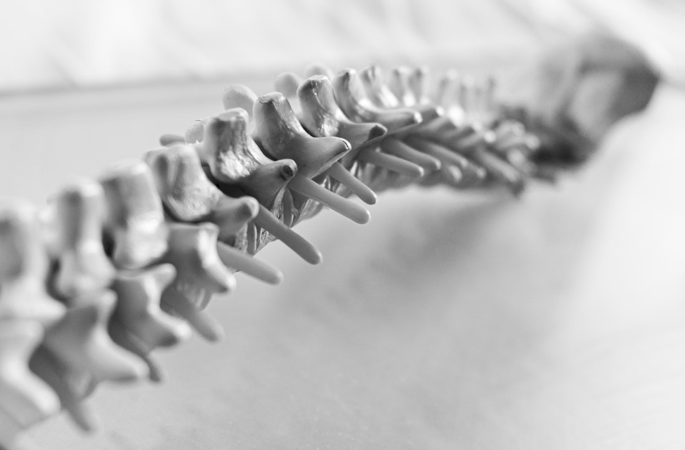 Beyond the Rollers: Unpacking the Core Benefits of Intersegmental Traction
